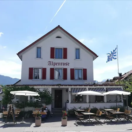 Alpenrose Maienfeld